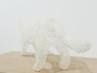 コロ猫 #7 スタスタ歩く猫